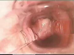 MYLF ના પ્રિફેક્ટ લિલી જેમ્સ લેસ્બિયન જૂથ porn સાથે મૌખિક ફિલ્મ